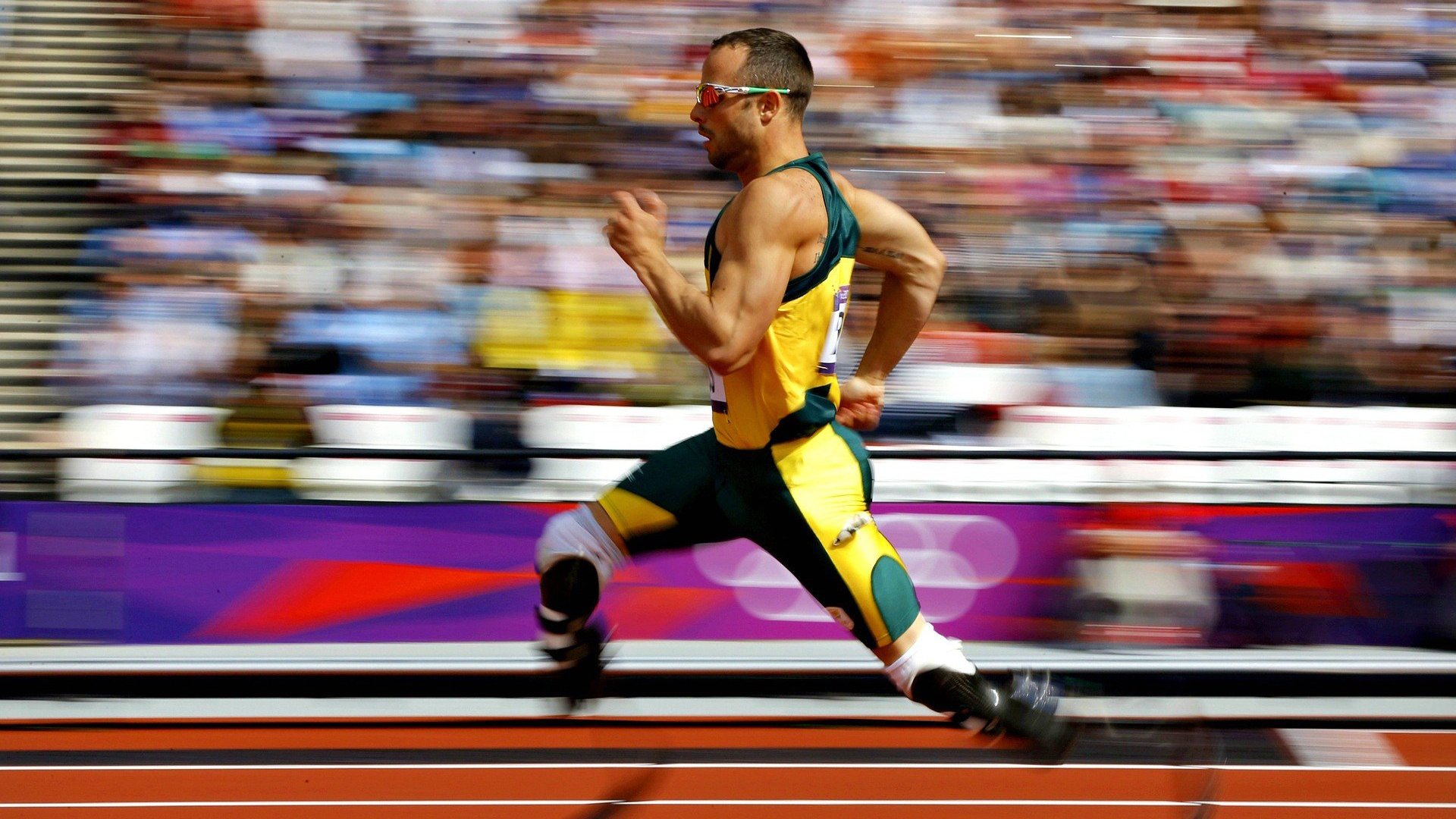 德甲赛场新战术出现,球队战术多样化,德甲新赛季